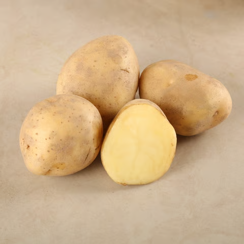 Potato